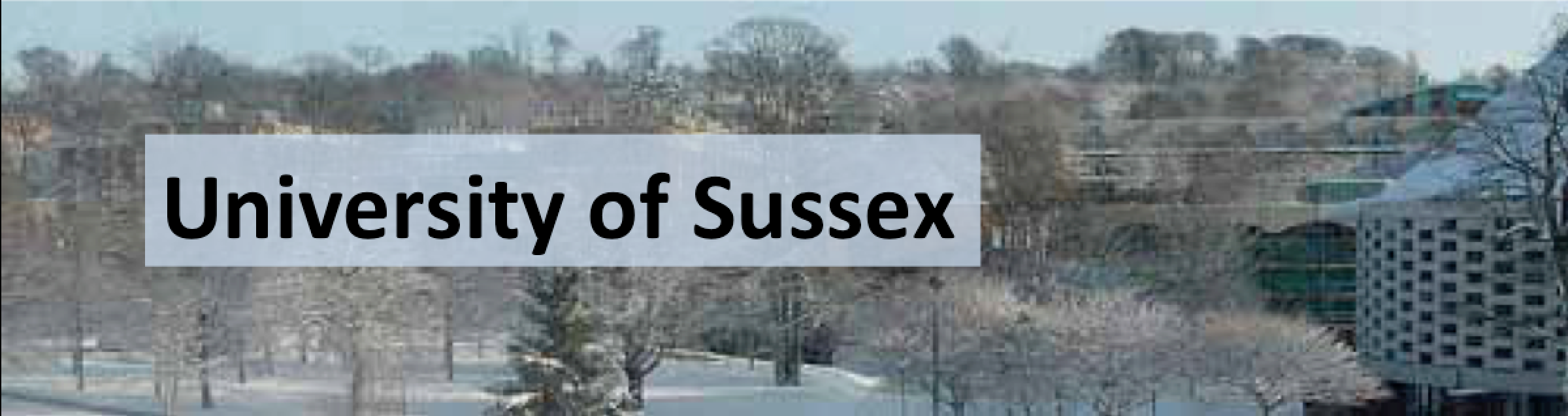 https://atlasvirtualvisit.web.cern.ch/sites/atlasvirtualvisit.web.cern.ch/files/Next-Sussex.png