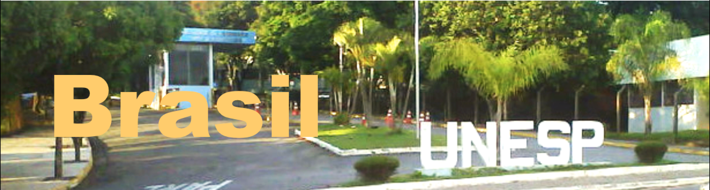 https://atlasvirtualvisit.web.cern.ch/sites/atlasvirtualvisit.web.cern.ch/files/Next_BrasilUnesp.png